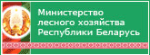 Министерство лесного хозяйства Республики Беларусь